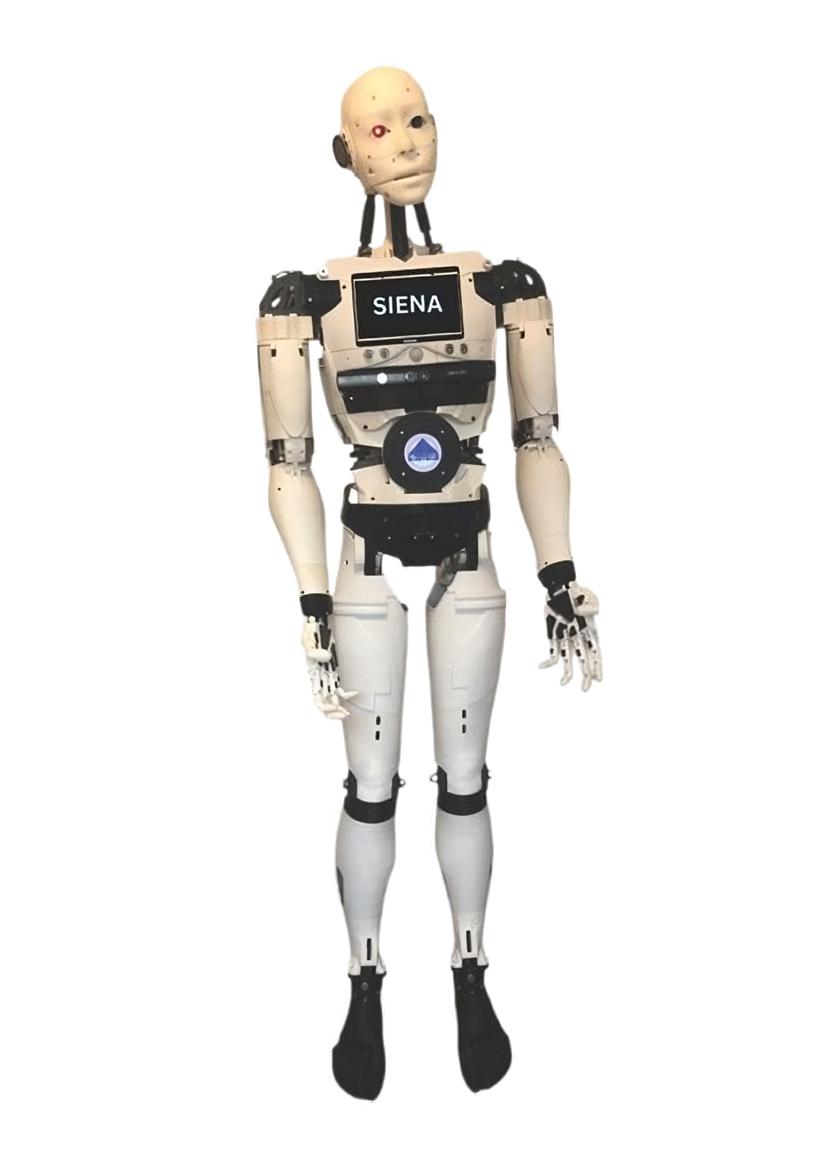 SIENA Humanoid Robot
